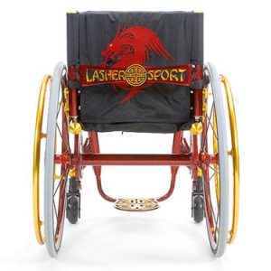dragon-back-500